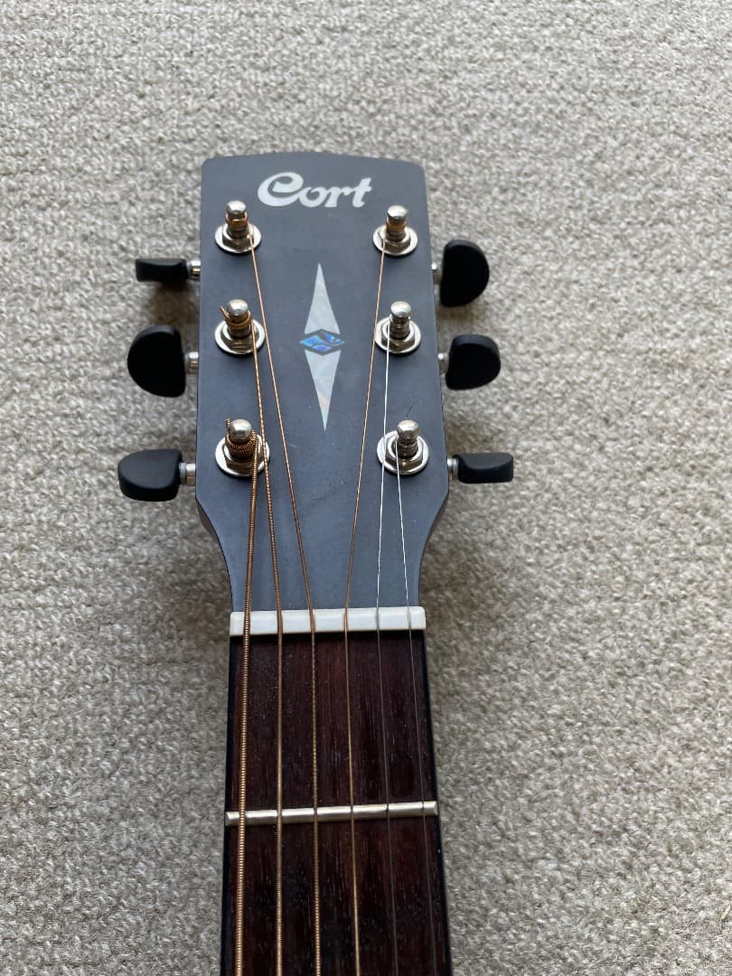 最 安値 でおもちゃ・ホビー・グッズ - Cort SFX1F NAT TOP単板