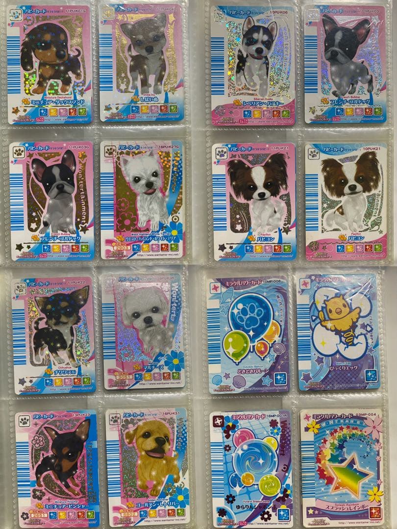 ワンタメ カード ファイル付き 182枚