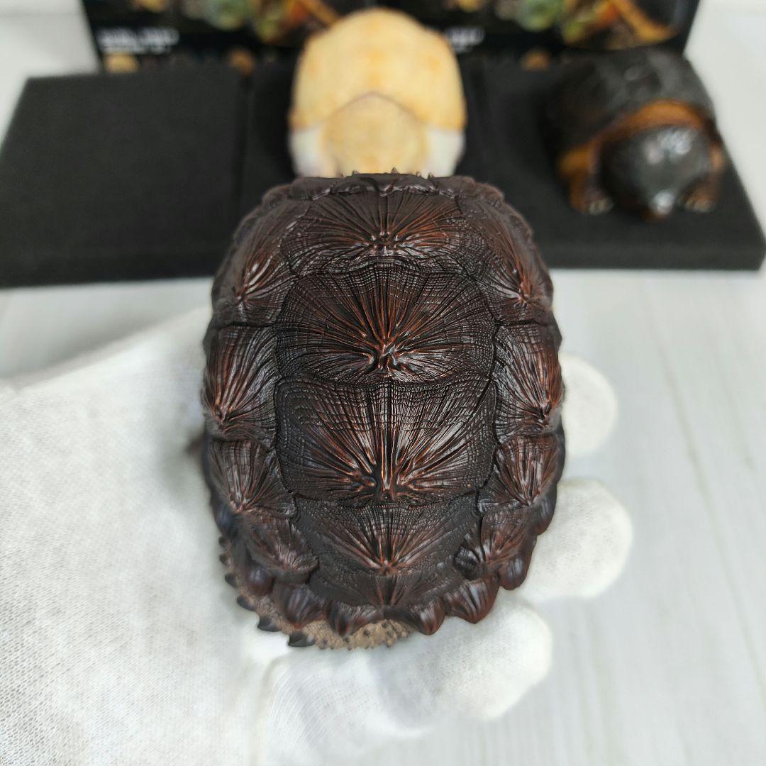 動物の惑星】☆激レア☆第1弾亀廃盤品ワニガメ+カミツキガメ