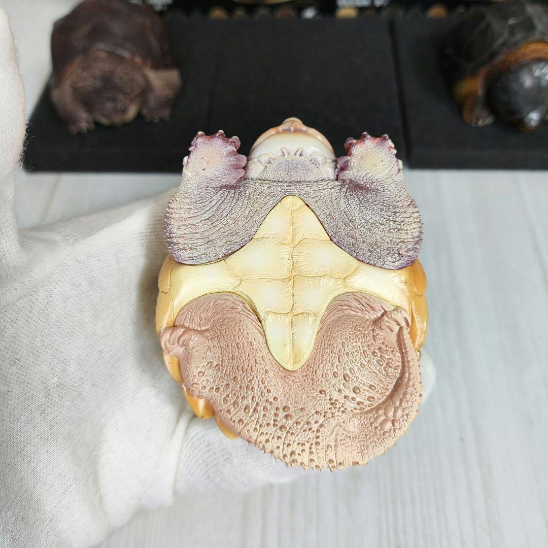 動物の惑星】☆激レア☆第1弾亀廃盤品ワニガメ+カミツキガメ