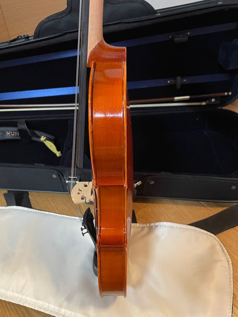 Eastman SVL80セット 4/4 バイオリン