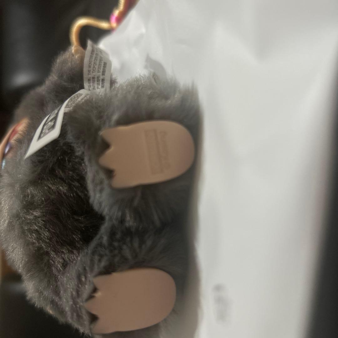 【カッパ】　Labubu ラブブ　シークレット　新品　未使用　正規品