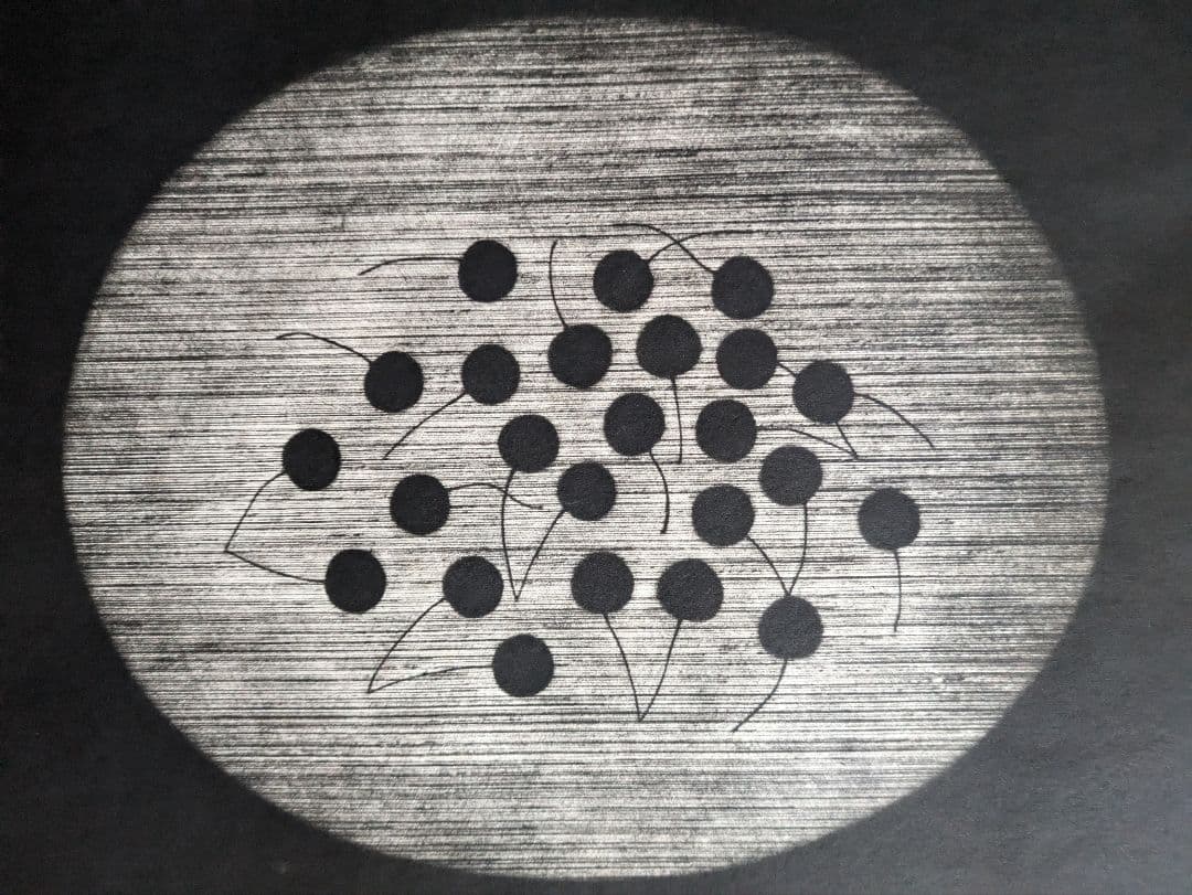 格安b浜口陽三の腐蝕銅版画　“黒”が織りなす静謐な銅版画「 チェリーズ 」美品