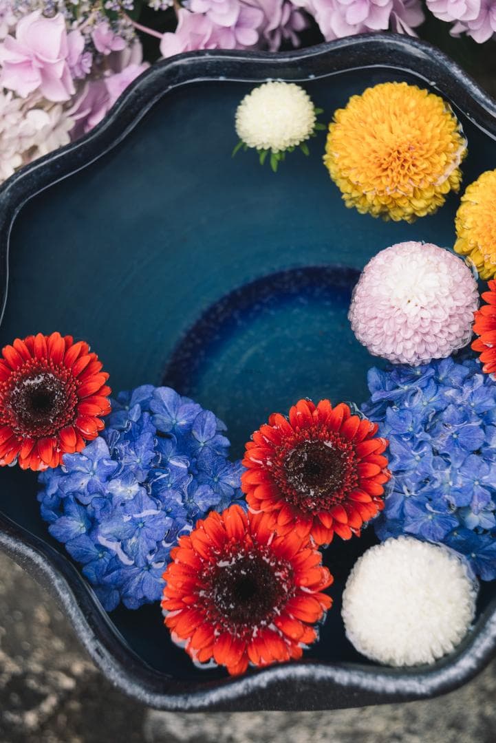 色違いの環がかかる！Leica coated Summar オールドレンズ - メルカリ