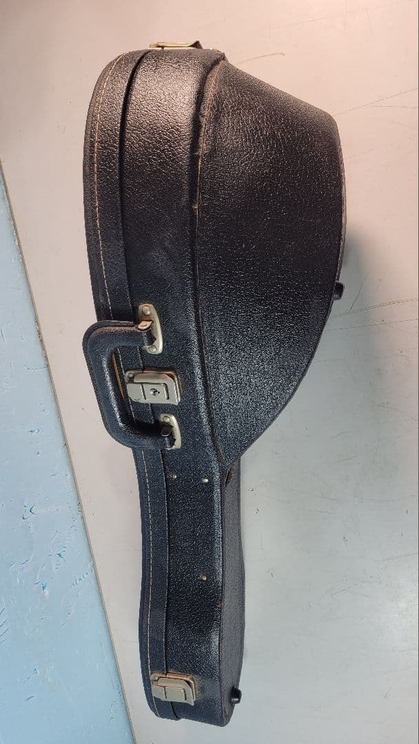 木製アーチトップ手工品マンドリン 8弦 ケース付き