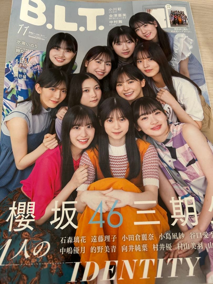 櫻坂46 向井純葉 直筆サイン入りチェキ 当選証明書付