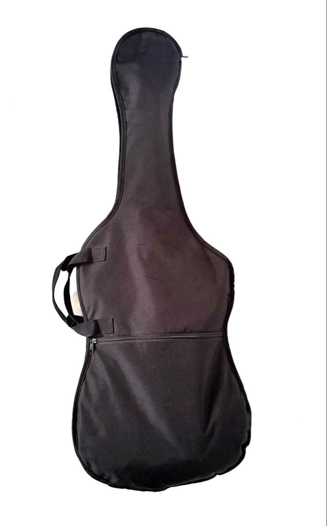 【希少】ARIA PRO Ⅱ TS-800 エレキギター