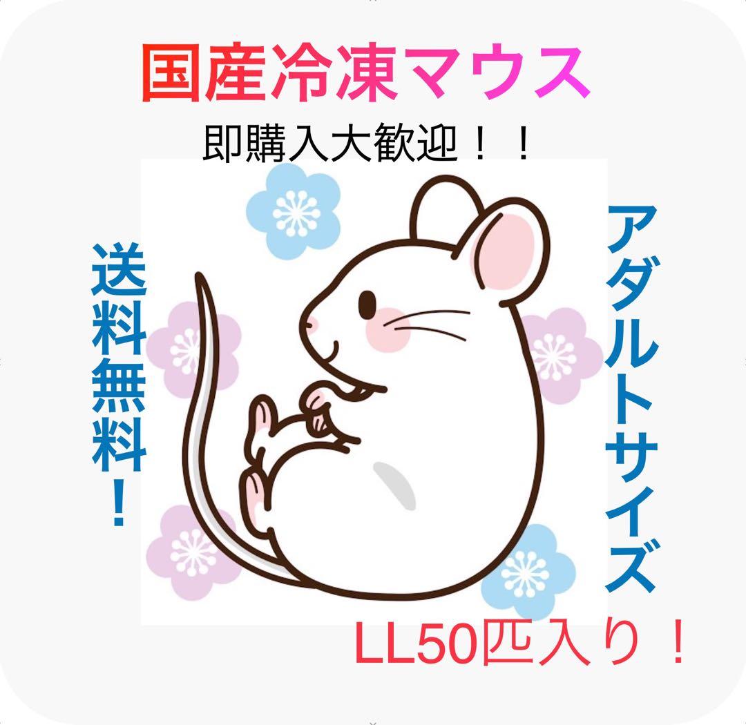 即購入OK！】国産冷凍マウスアダルトLL50匹入@地域限定