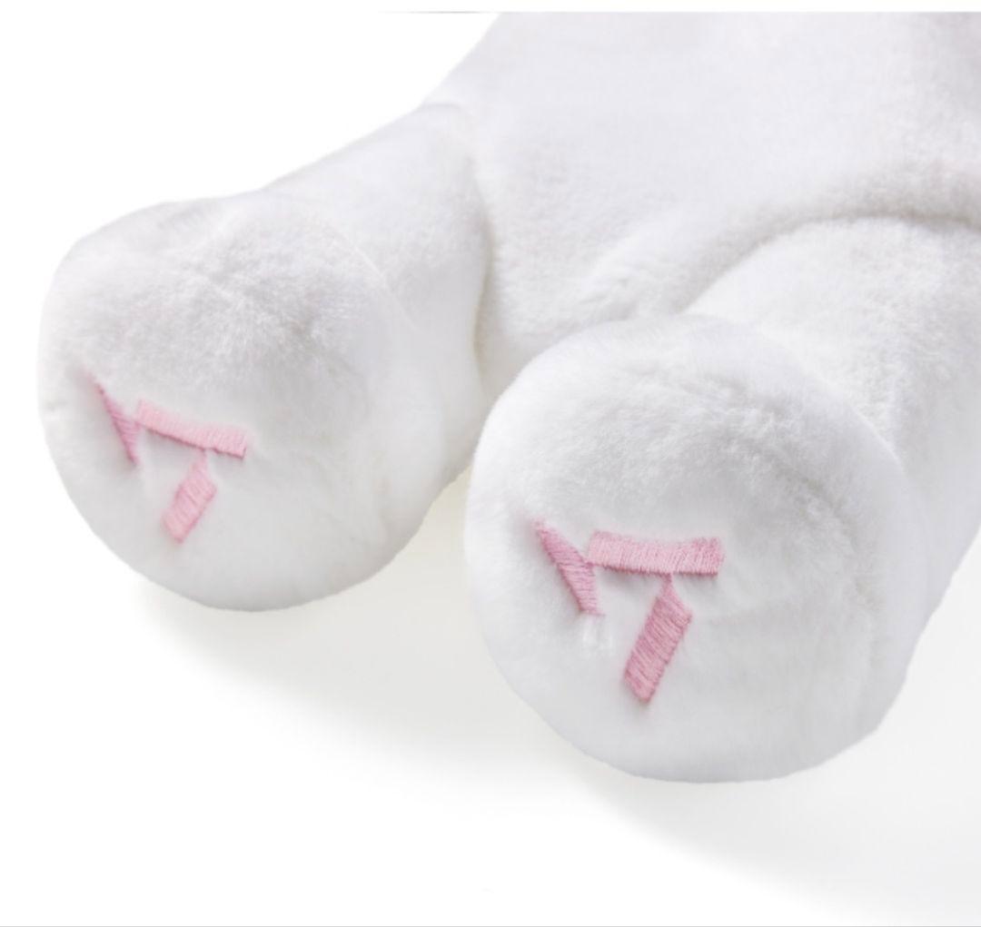 SEVENTEEN ペンライト 10周年 ボンボンイ ケース セット