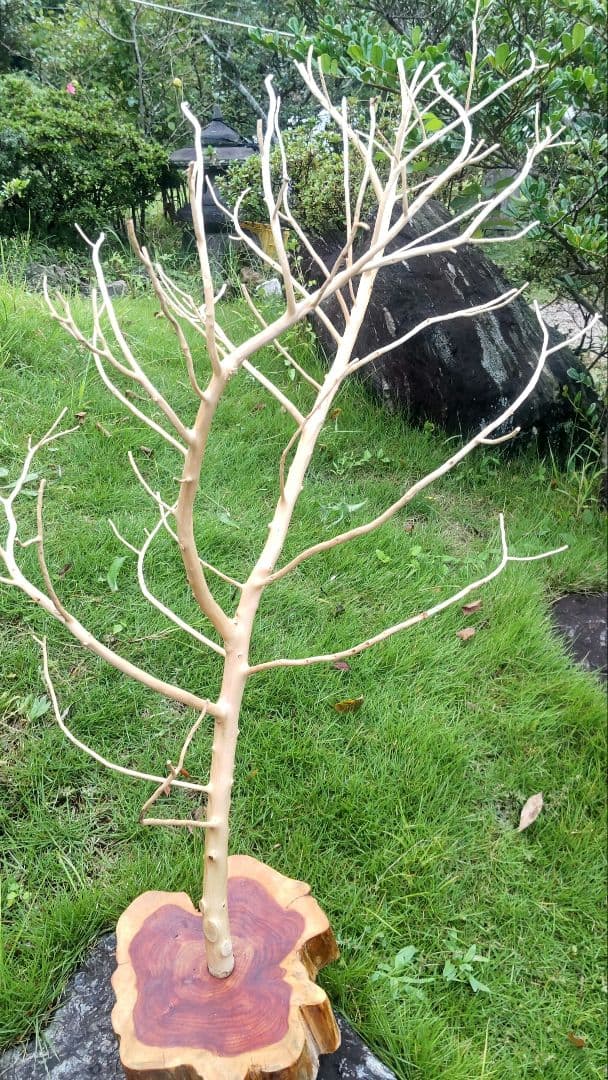 バードアスレチック 鳥用止まり木