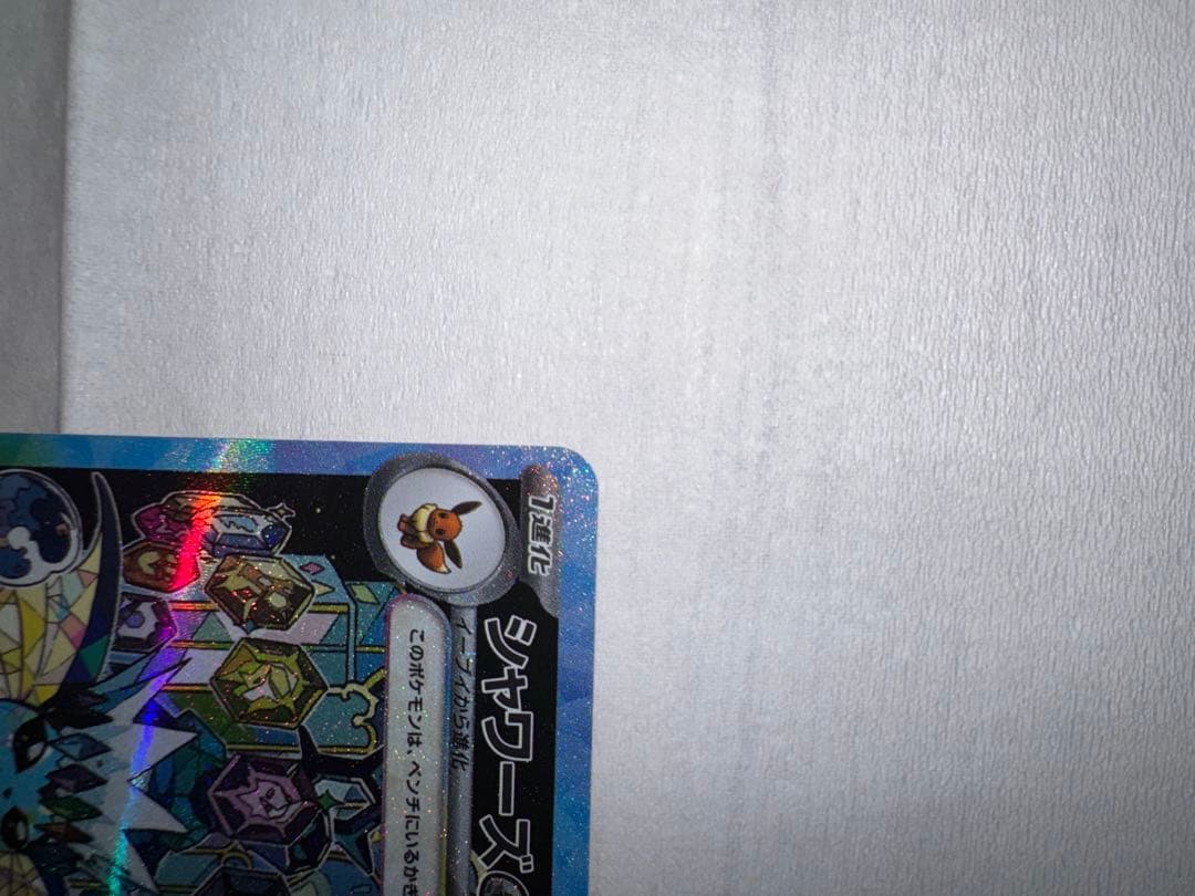 テラスタルフェス　3枚セット　ブラッキー