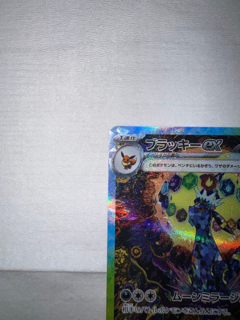 テラスタルフェス　3枚セット　ブラッキー