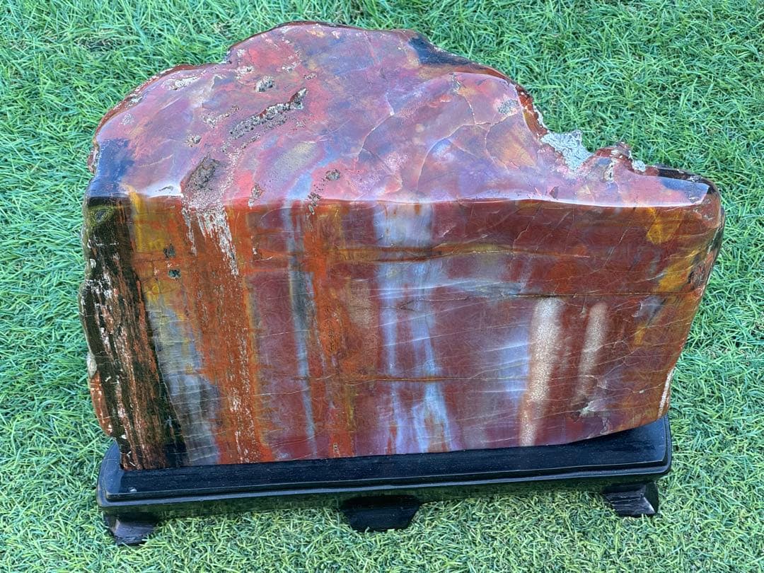 珪化木 木化石 鑑賞石 天然石 水晶 色石 赤石 赤玉石 アリゾナ珪化木