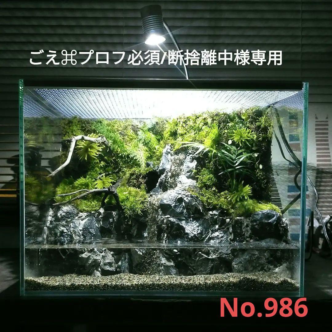 滝の流れるイモリウムアクアテラリウム No.948