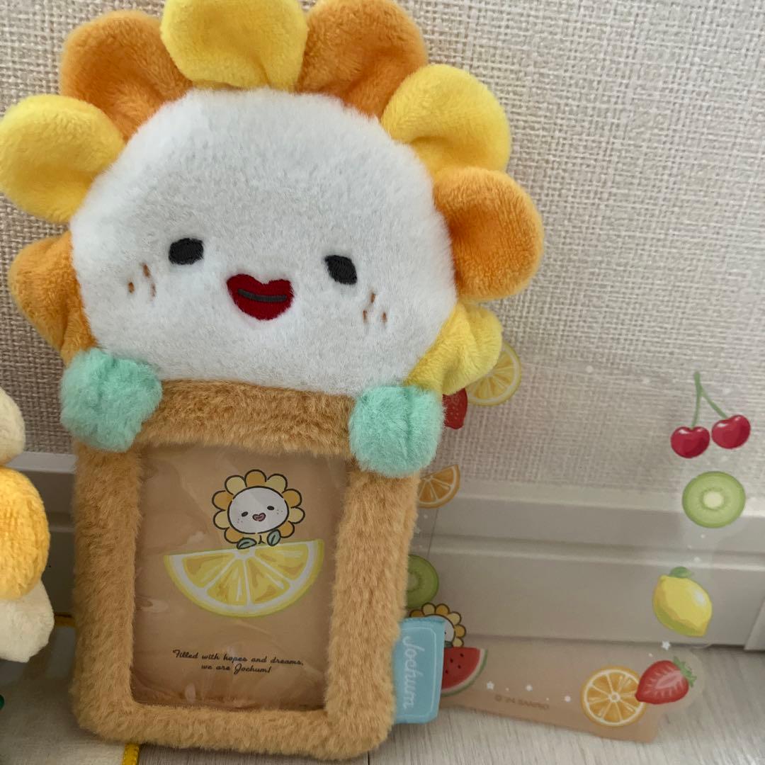 jo1 ぬいぐるみ　トレカケース　ビラ