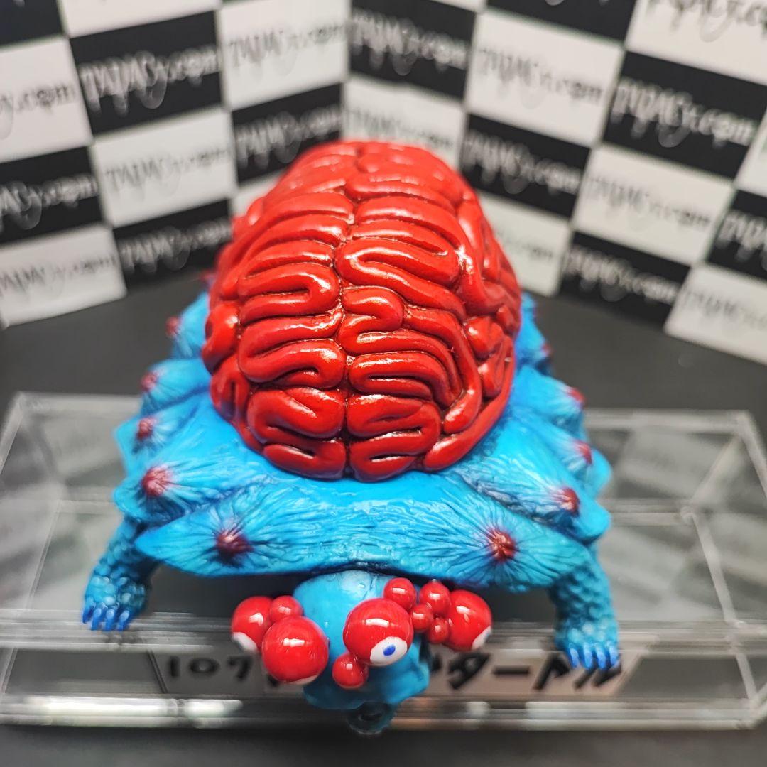 107ブレインタートル