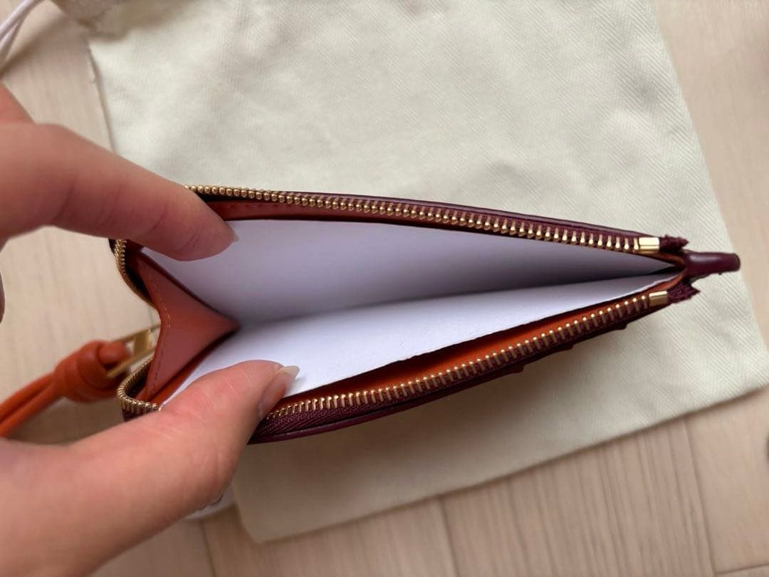 【新品未使用】ロエベ　ノット カードホルダー（シャイニーナパカーフ）