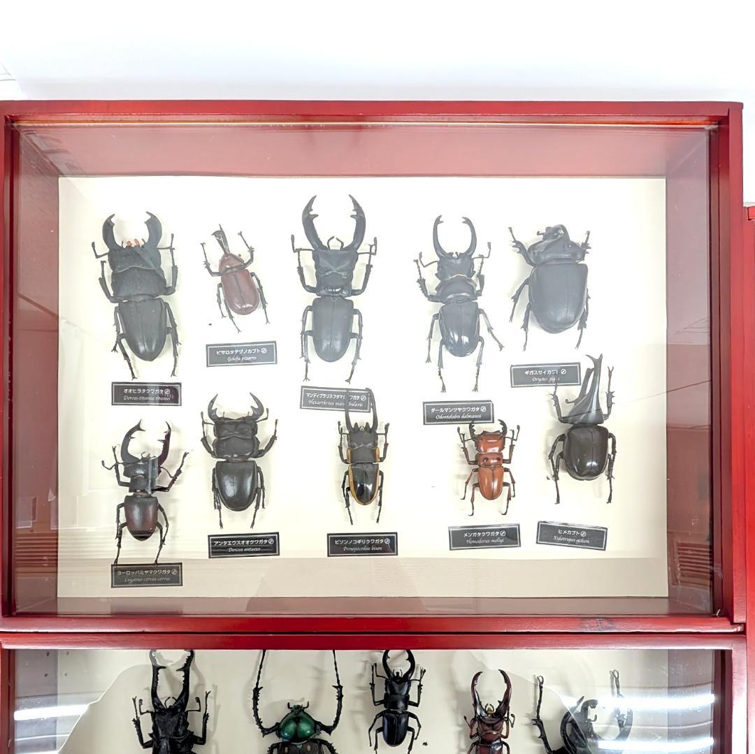 デアゴスティーニ 世界の昆虫 フィギュア30体セット 現状品