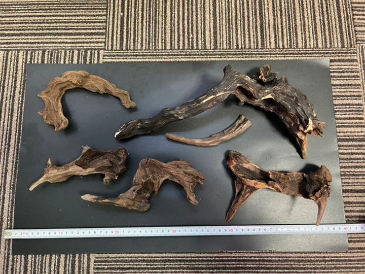 ADAホーンウッド流木16本セット