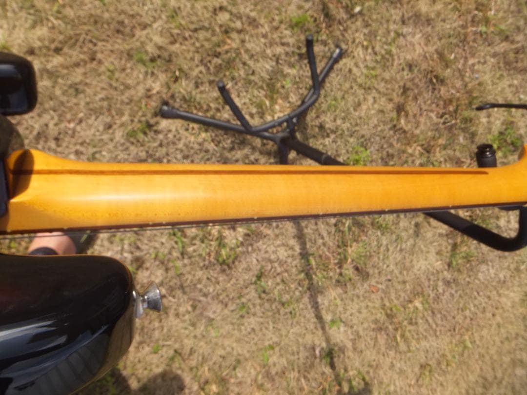 Fujigen Coolz ZST-10R アルダー アルニコ - メルカリ