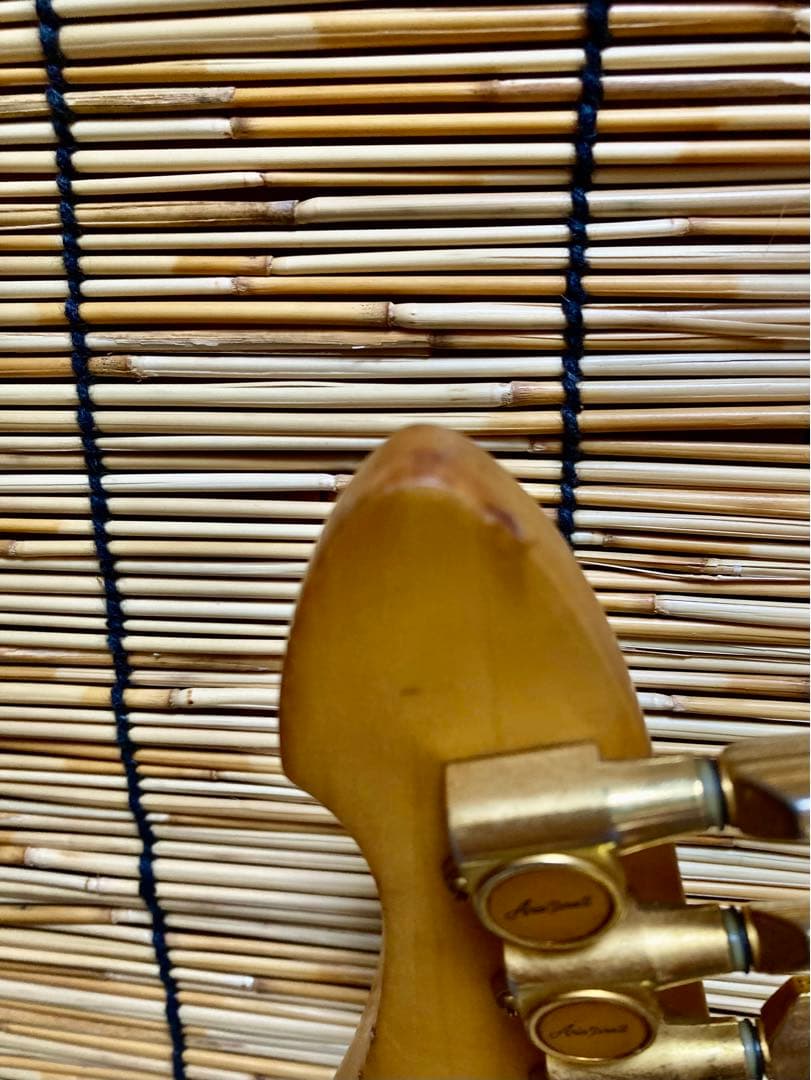 ☆値下早い者勝ち ☆多機能満載　AriaPro II MAGMA SSH ST