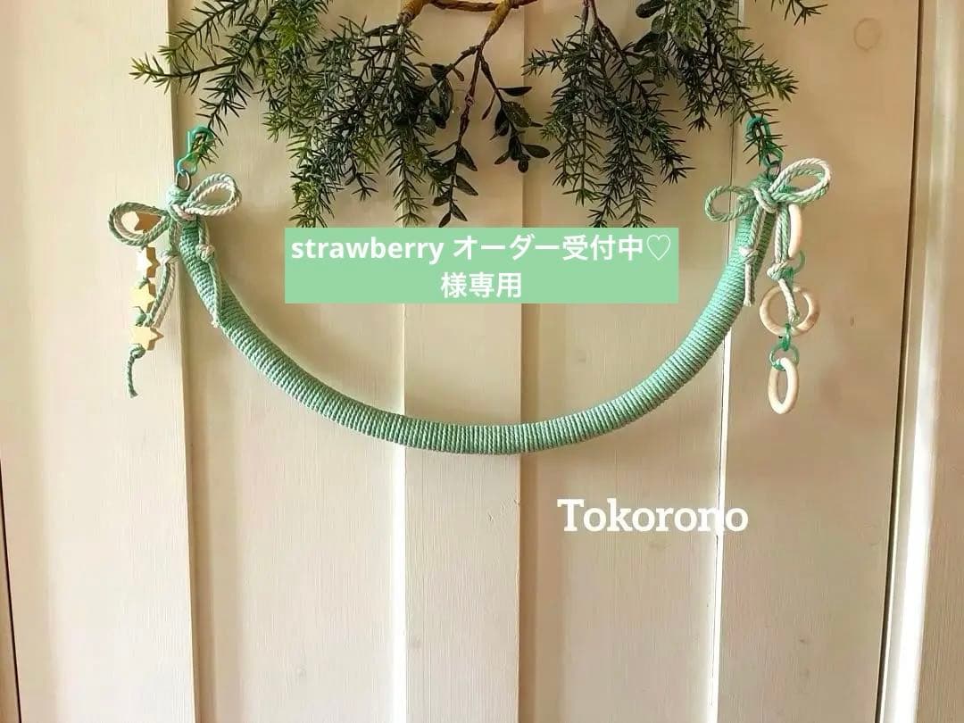 ハンドメイド 流木 バードアスレチック バードジム 流木インテリア