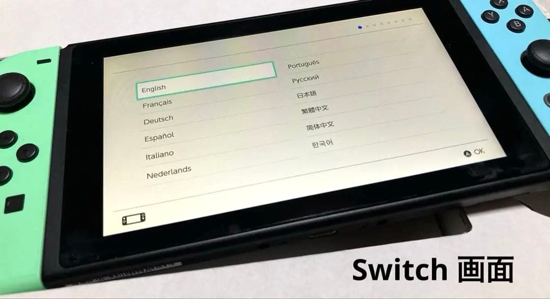 Nintendo Switch あつまれどうぶつの森 限定デザイン 本体セット