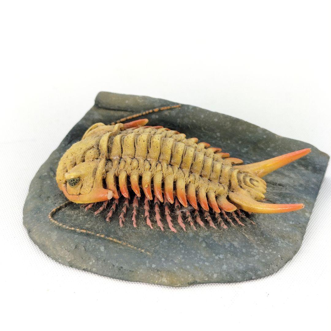 国立科学博物館 三葉虫 セロウリネラ フィギュア 海洋堂 限定