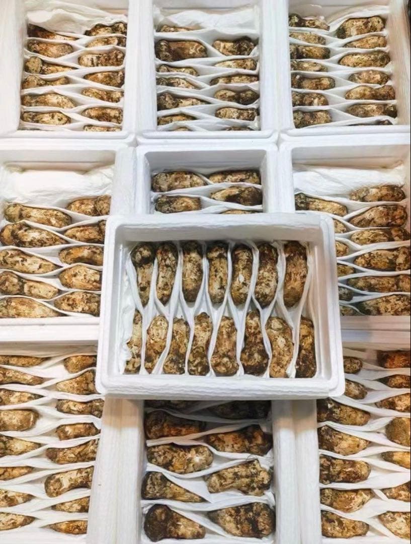 ロート・ヴァンダーヴィーン ブロンズアンテロープ彫刻 サイン LOT番号