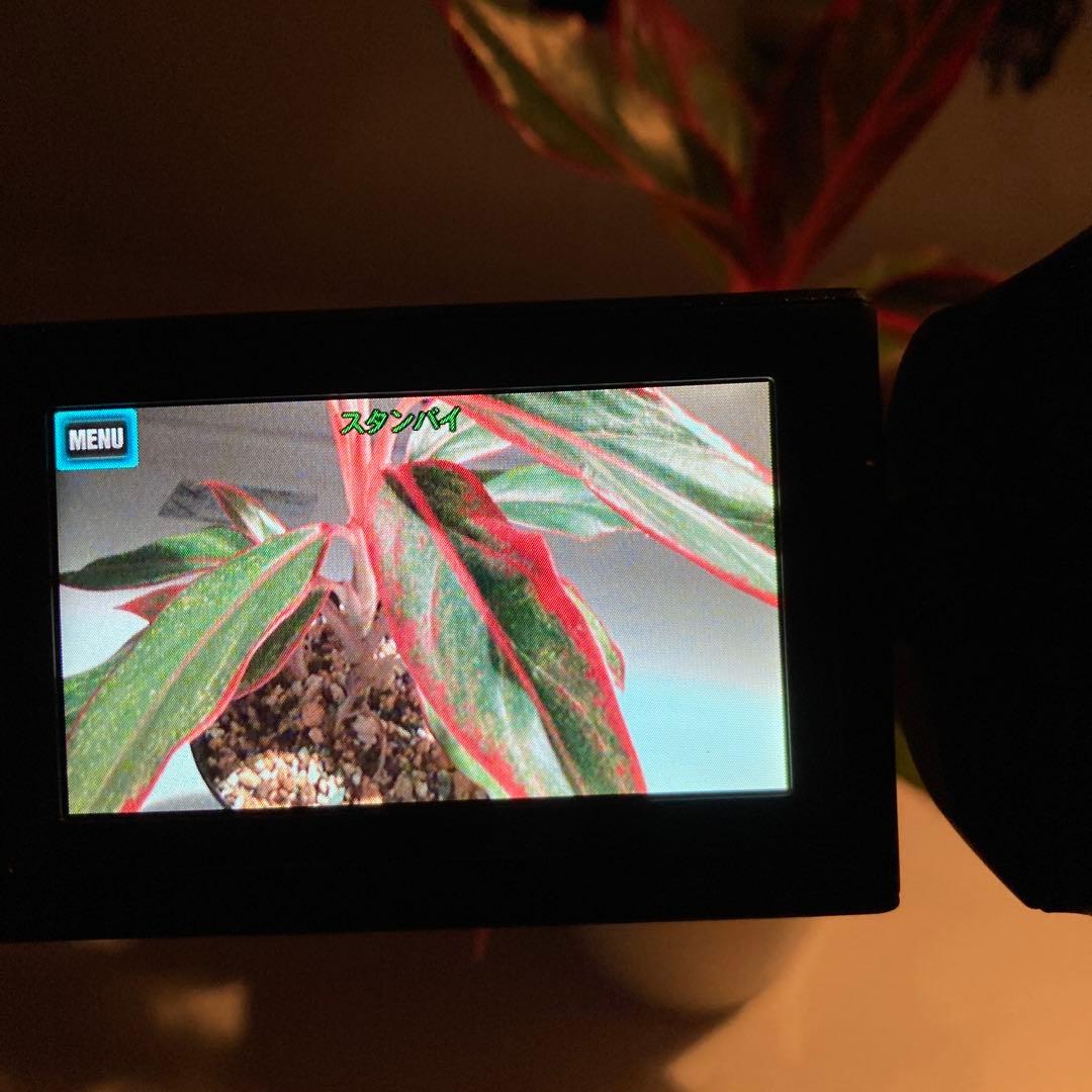 美品 SONY ハンディカム HDR-CX470