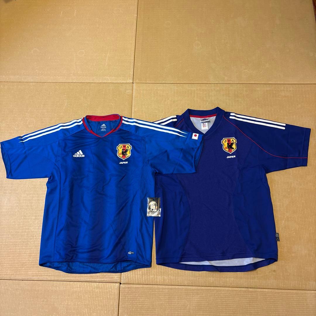 角蝉最大種】Hemikyptha marginata ツノゼミ セミ ホタ標本