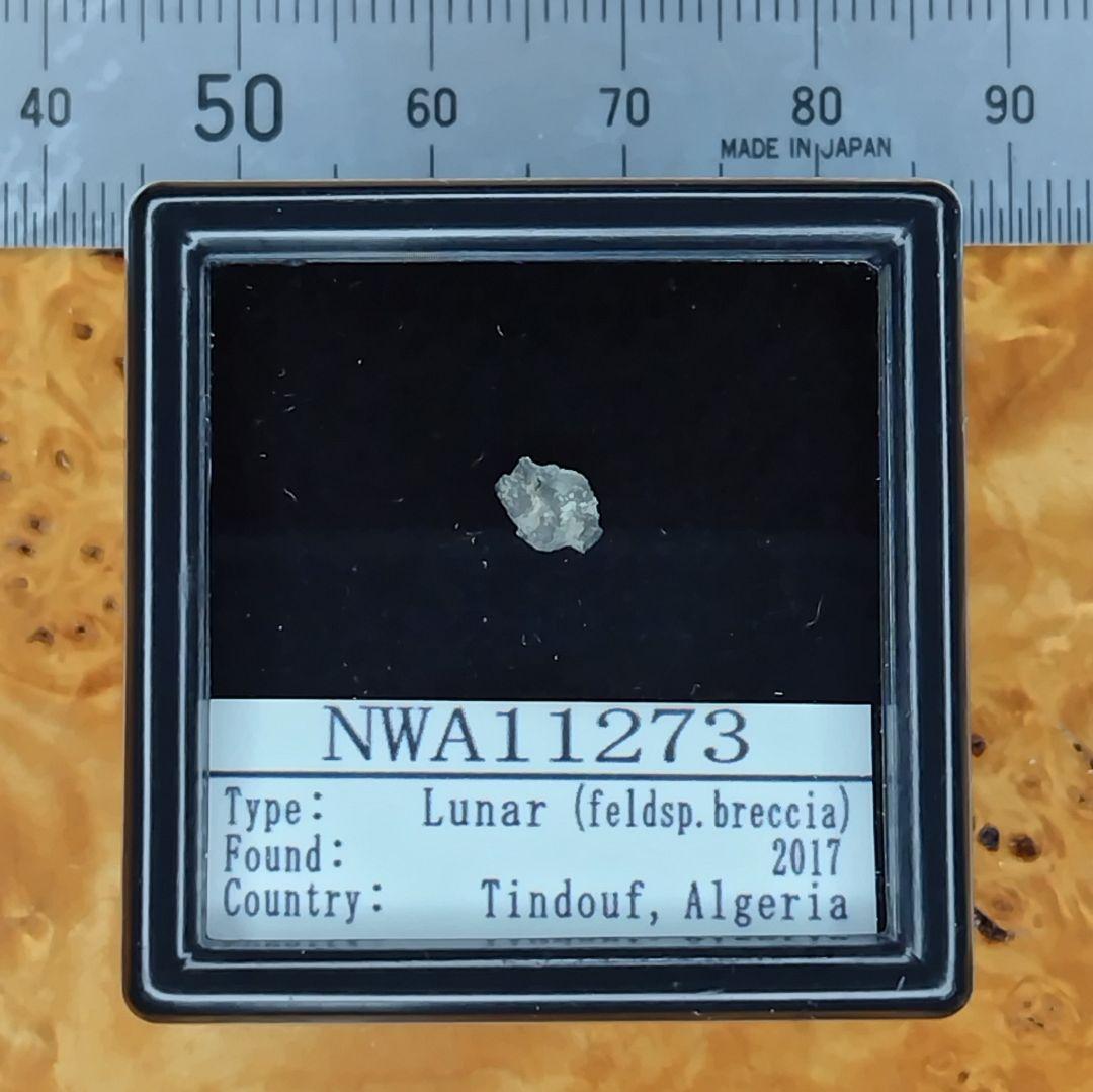 ✨スペシャルレア! ＊月の石＊ 月から来たNWA11273隕石