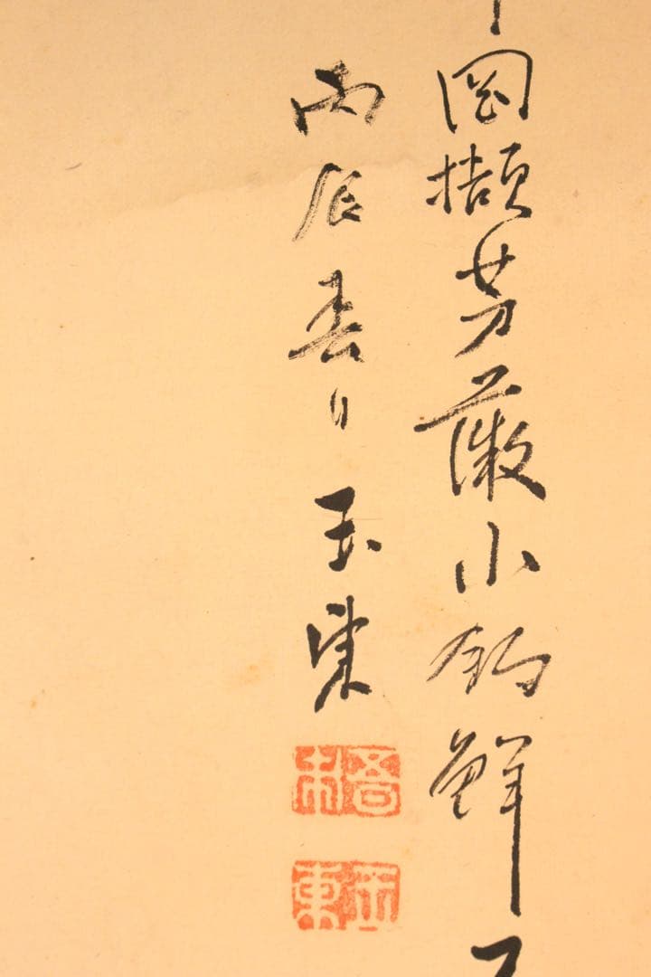 No5064 掛軸 五日市玉東 山水画賛 紙本 南画 日本画 古美術 送料無料