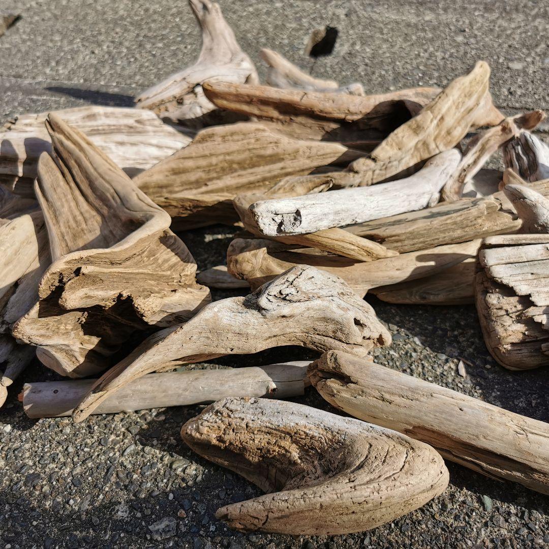 ファッション ○天然流木○内容おまかせ格安の箱セット 【160サイズ