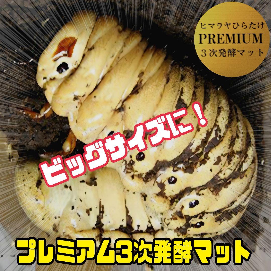 極上！プレミアム3次発酵カブトムシマット【40L】ヘラクレス181ミリ