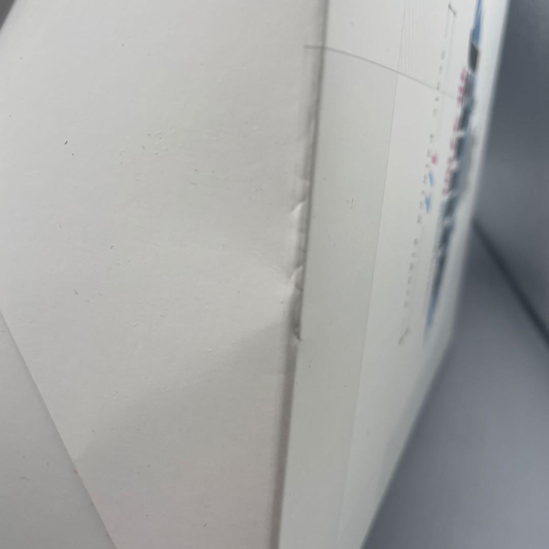 未開封 ジェーナス フィッティング・ラブVer. アズレン 1/7 フィギュア