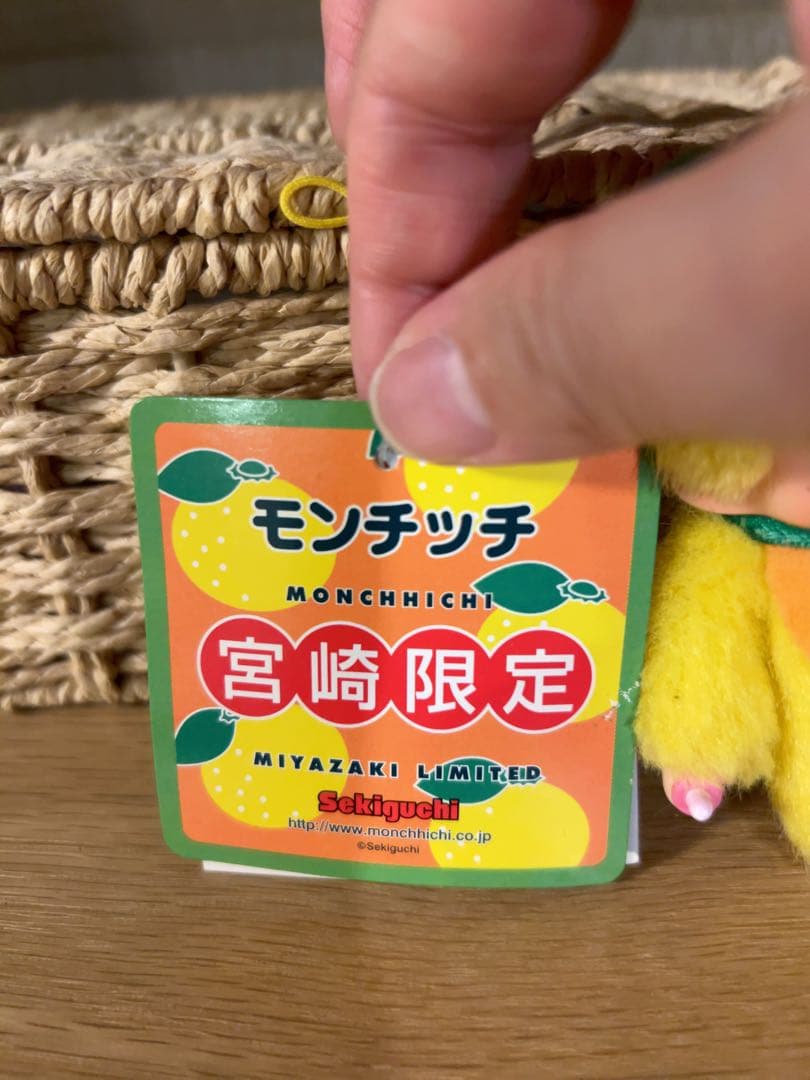 【新品】宮崎限定日向夏モンチッチ Monchhichi