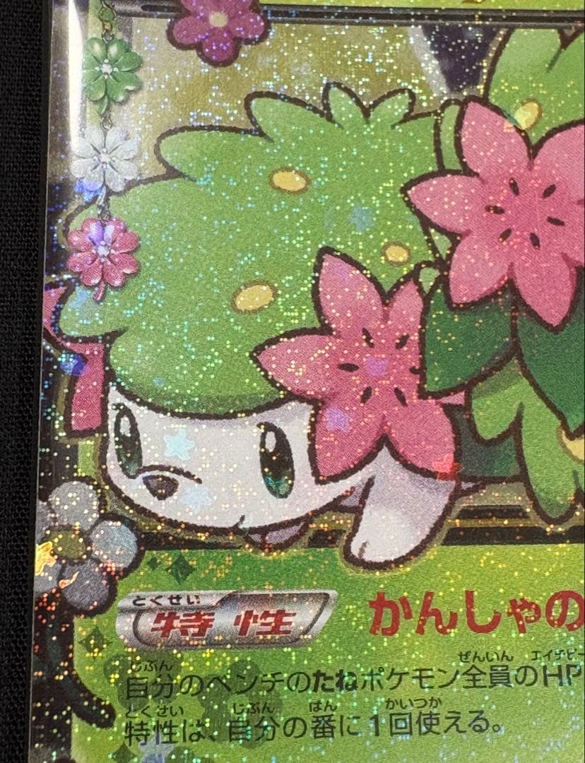 ポケカ　シェイミEX　ポケキュン　プロモカード