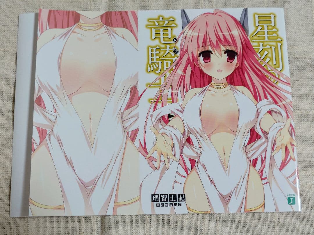星刻の竜騎士（ノベル版）特典ブックカバー　8枚セット