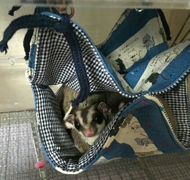 モモンガハウス(小花柄・紫Ver.2) 春(夏)秋仕様 コレクション 1900円