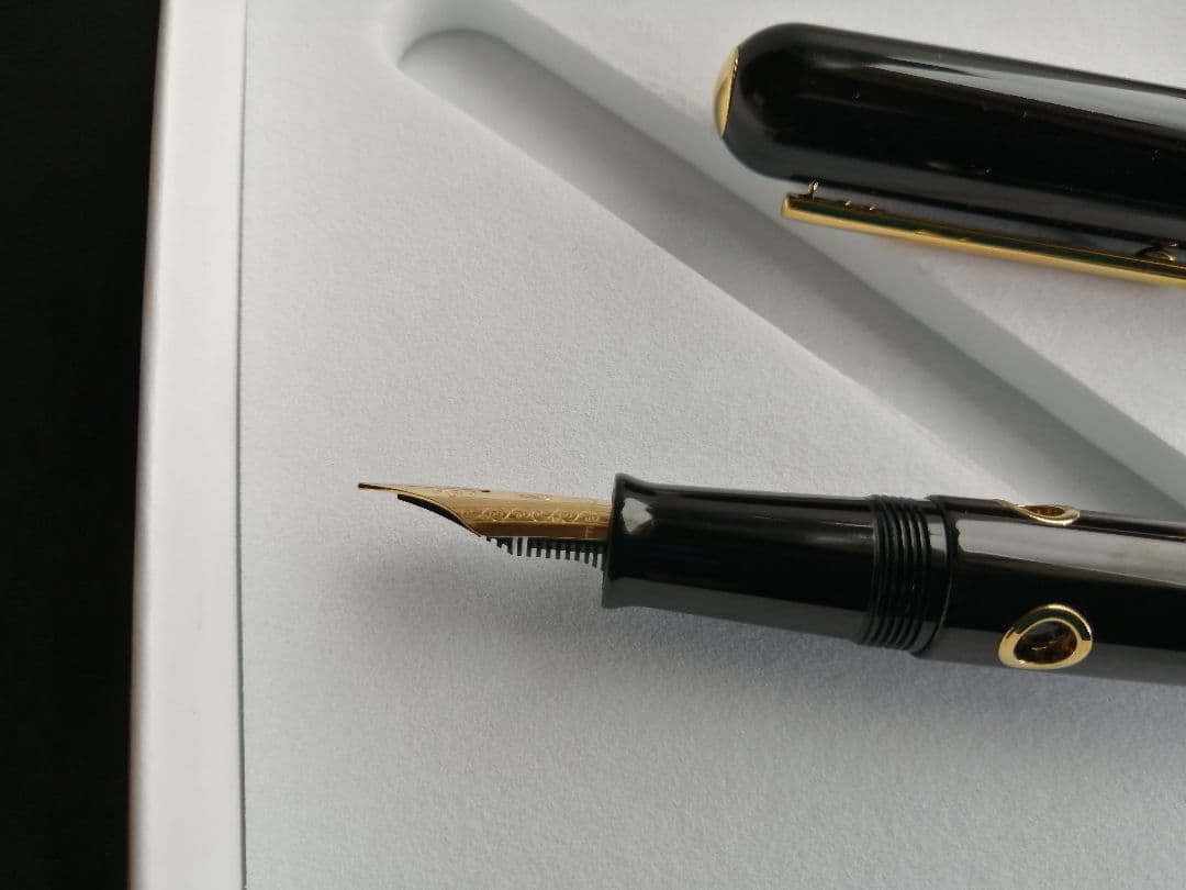 ナーワル（ナーヴァル）ノーティラス セファロポッド 万年筆Fサイズ