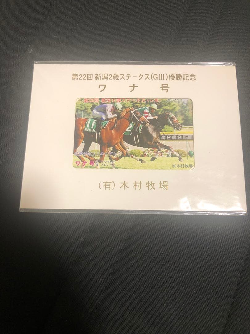 非売品 記念品 オグリローマン 桜花賞 激レア 関係者 オグリキャップ 妹