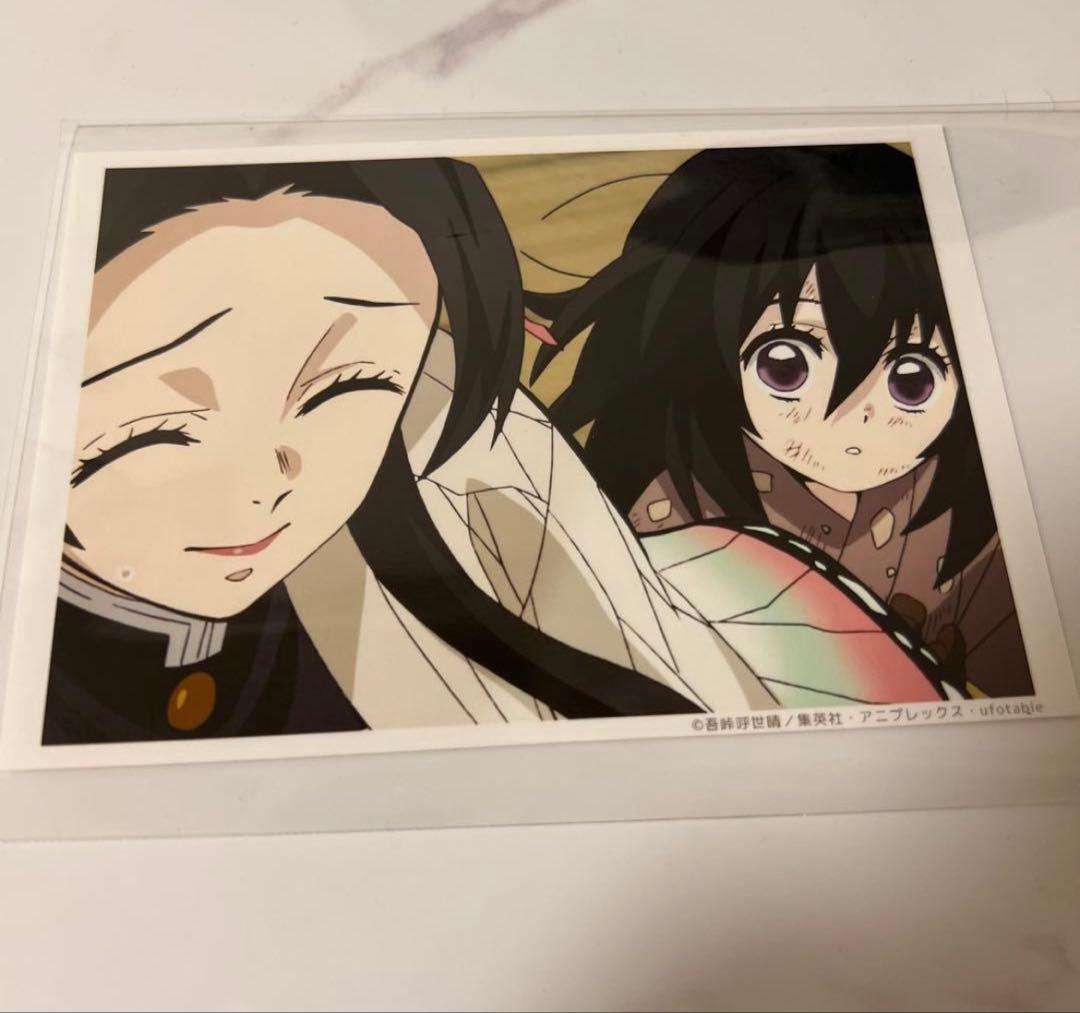 鬼滅の刃 胡蝶しのぶ、カナエ 場面写ブロマイド 3点セット - メルカリ