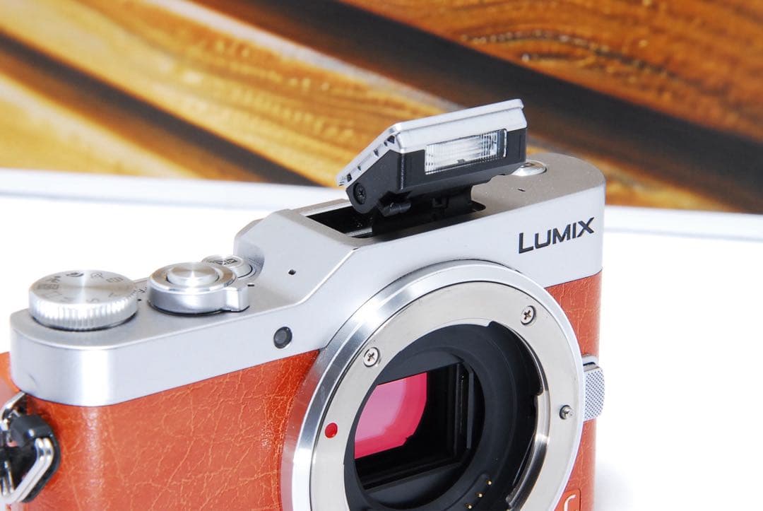 LUMIX GF9 オレンジ 4k SNS Wi-Fi チルト ミラーレス Panasonic LUMIX