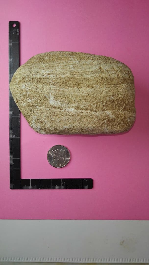 石冠？岩偶？石錘？旧石器時代 (出土品) 約10㎝×7