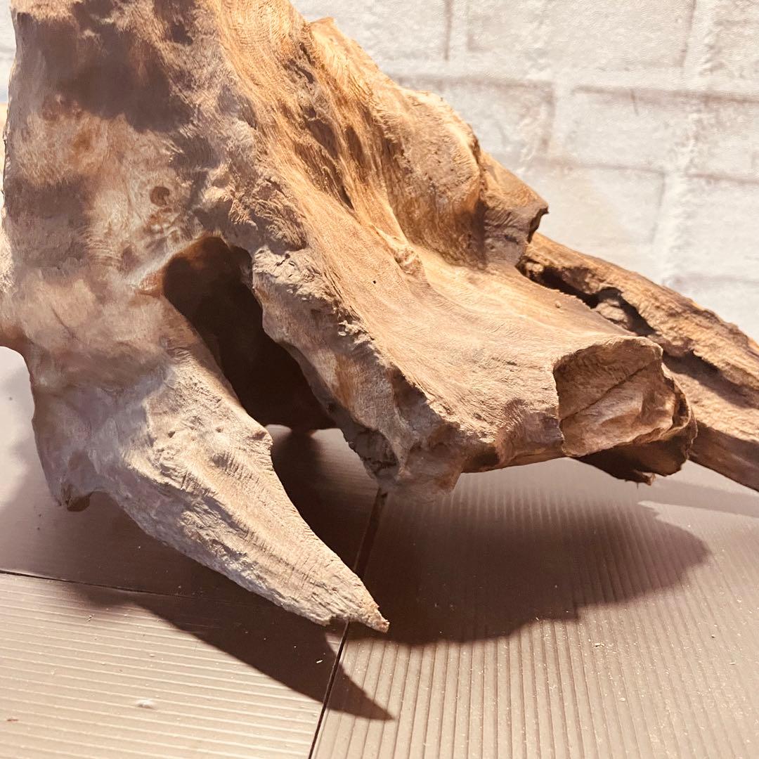 G21沈下確認済み流木セット アク抜き済み アクアリウム 爬虫類用