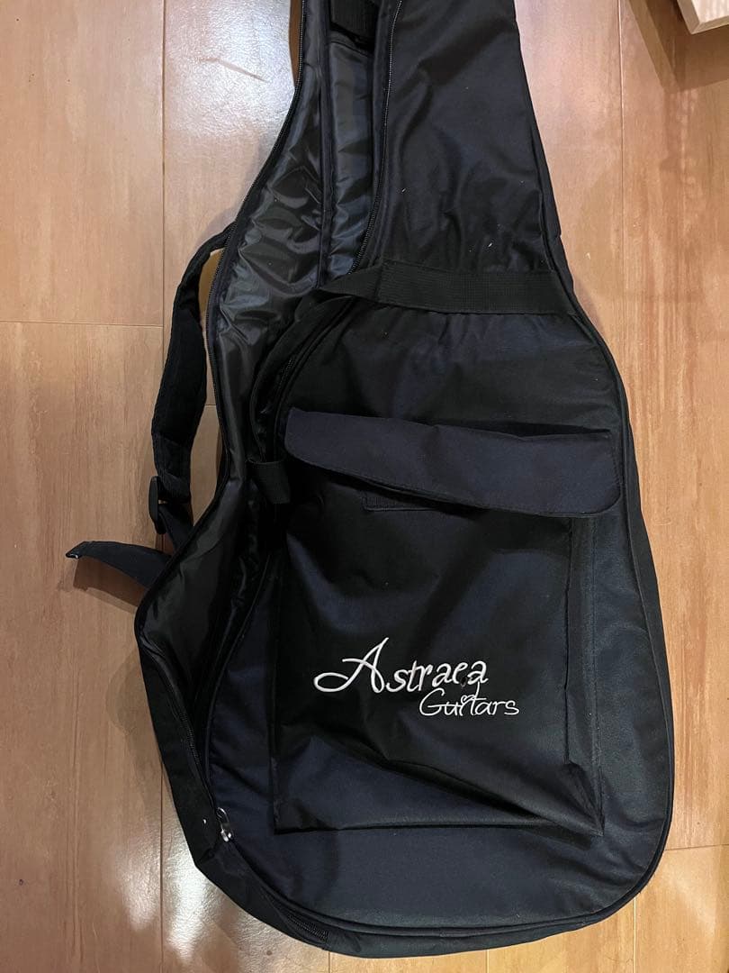 Martin DXMAE エレアコ ソフトケース付き