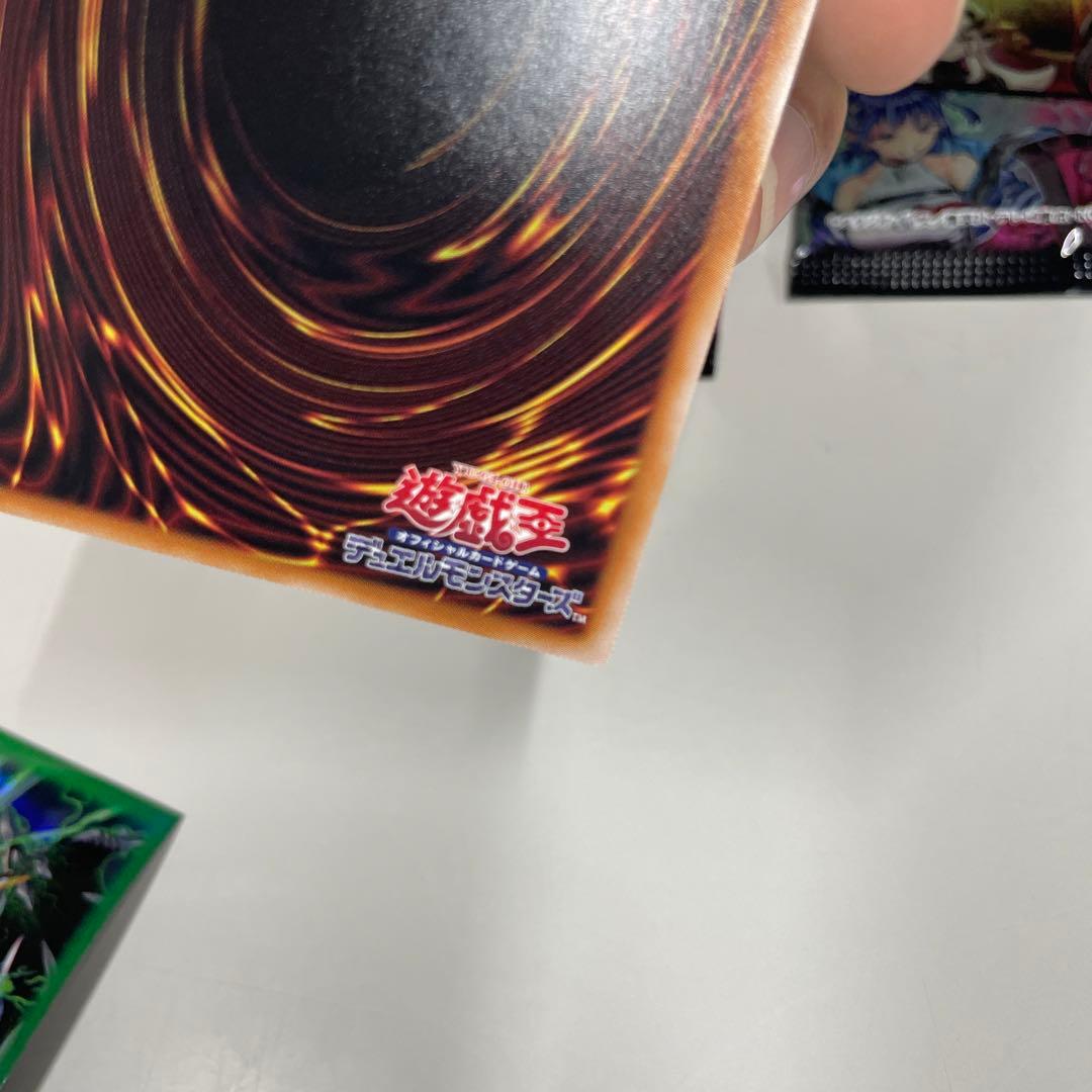 【絵違いプリシク】ドラゴンメイドのお心づくし