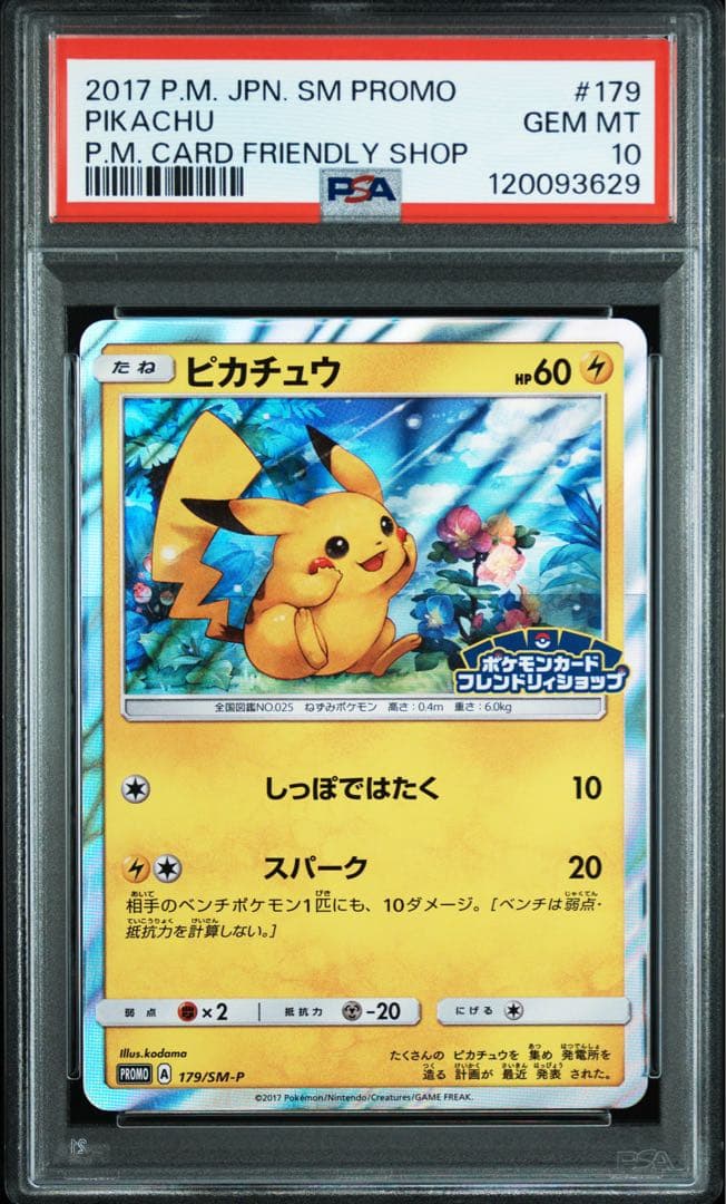 psa10 連番　ピカチュウ PROMO 044/SM-P 179/SM-P