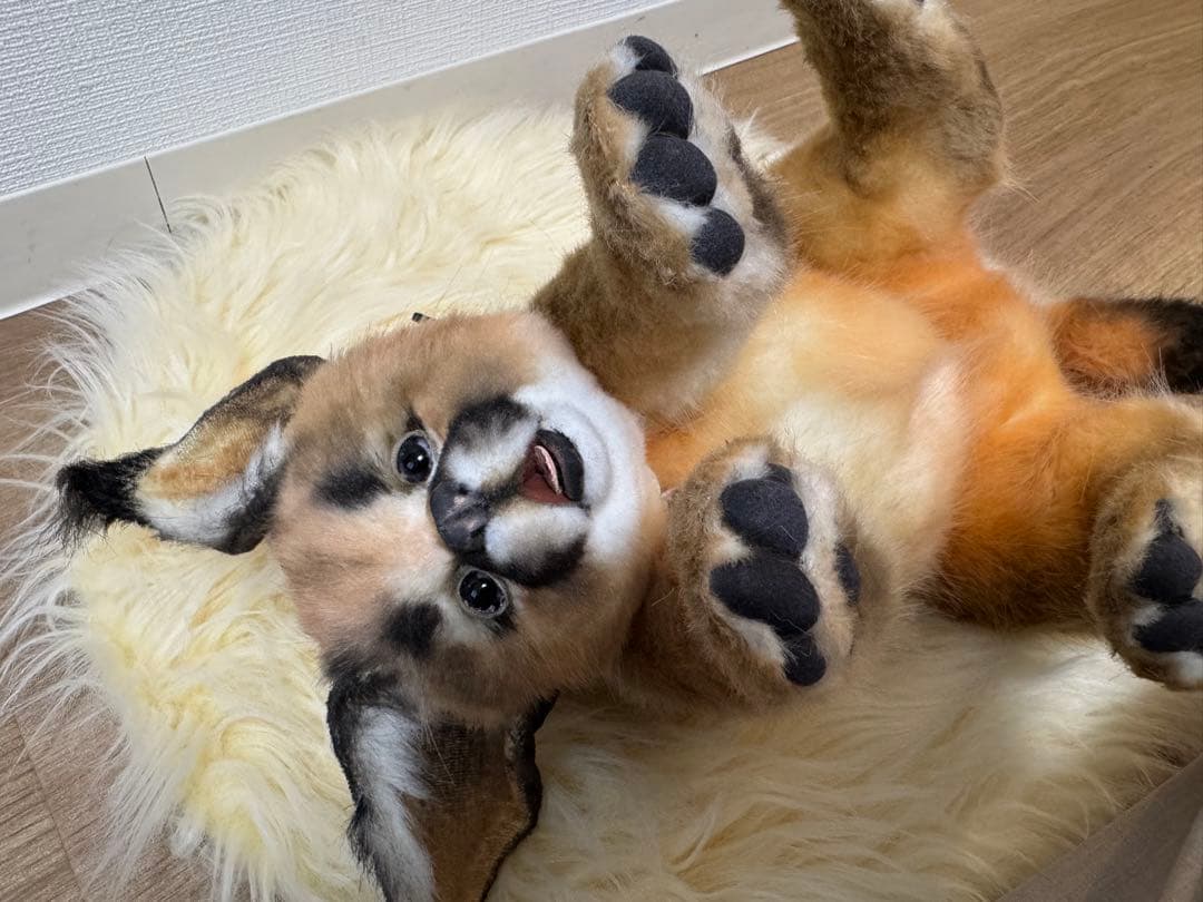 海外作家様作 アートドール カラカル